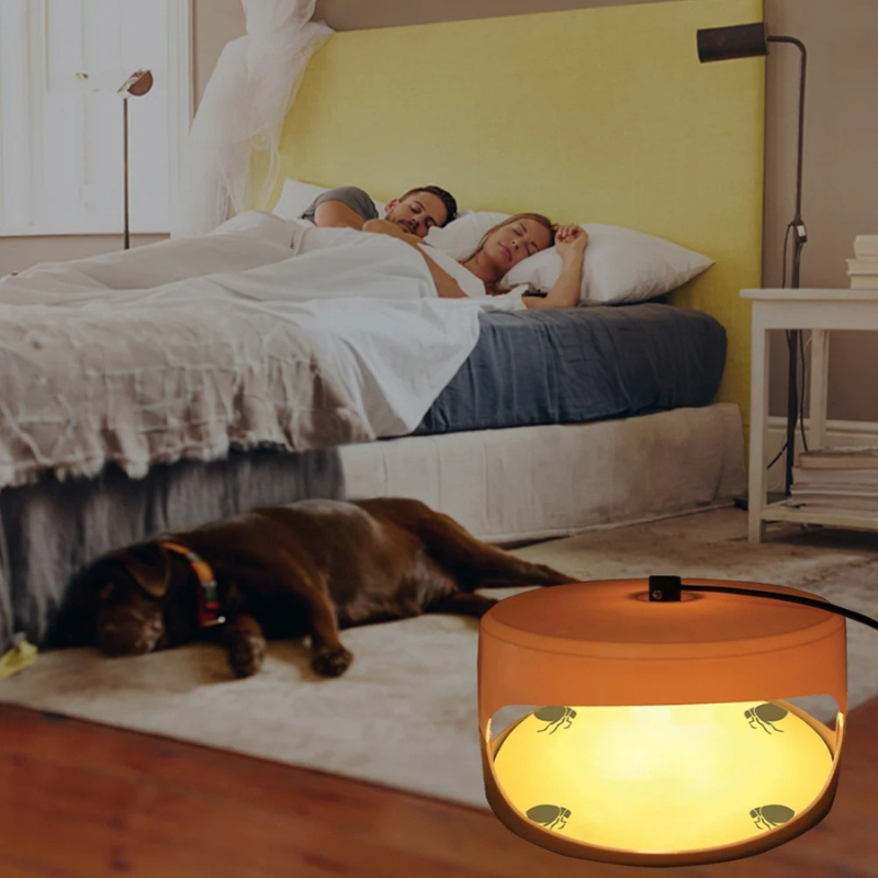 Bed Bug Trap | Indoor Interceptor & Detection Monitor