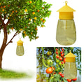Fruit Fly Trap | Hanging Sticky Trap for Indoor Fungus Gnats & Flies