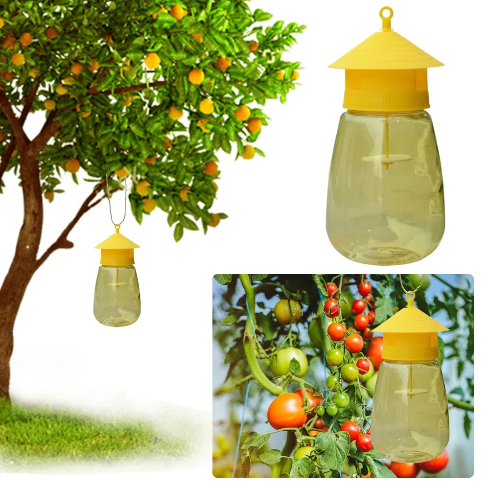 Fruit Fly Trap | Hanging Sticky Trap for Indoor Fungus Gnats & Flies