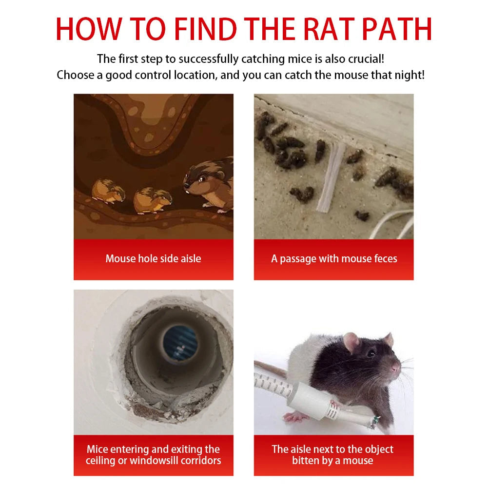 Reusable Mouse Trap Cage | Sliding Door Humane Rodent Catcher