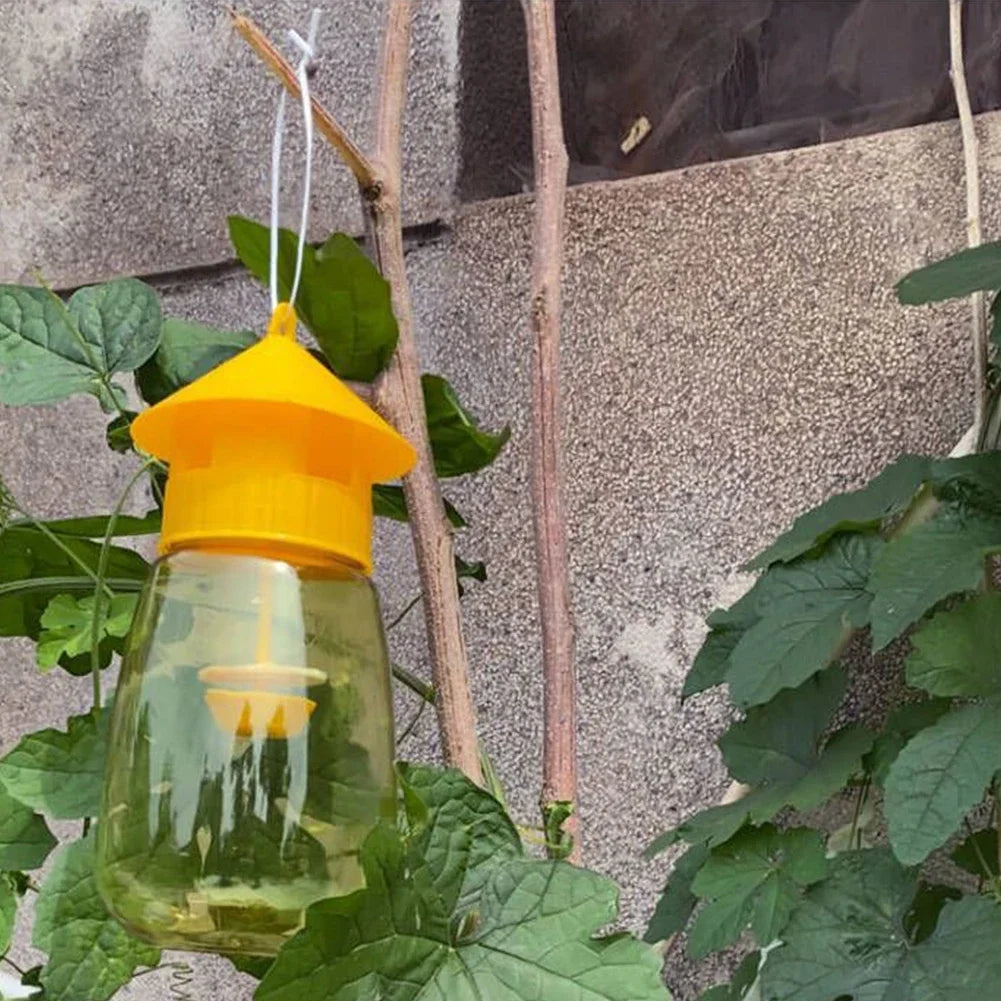 Fruit Fly Trap | Hanging Sticky Trap for Indoor Fungus Gnats & Flies