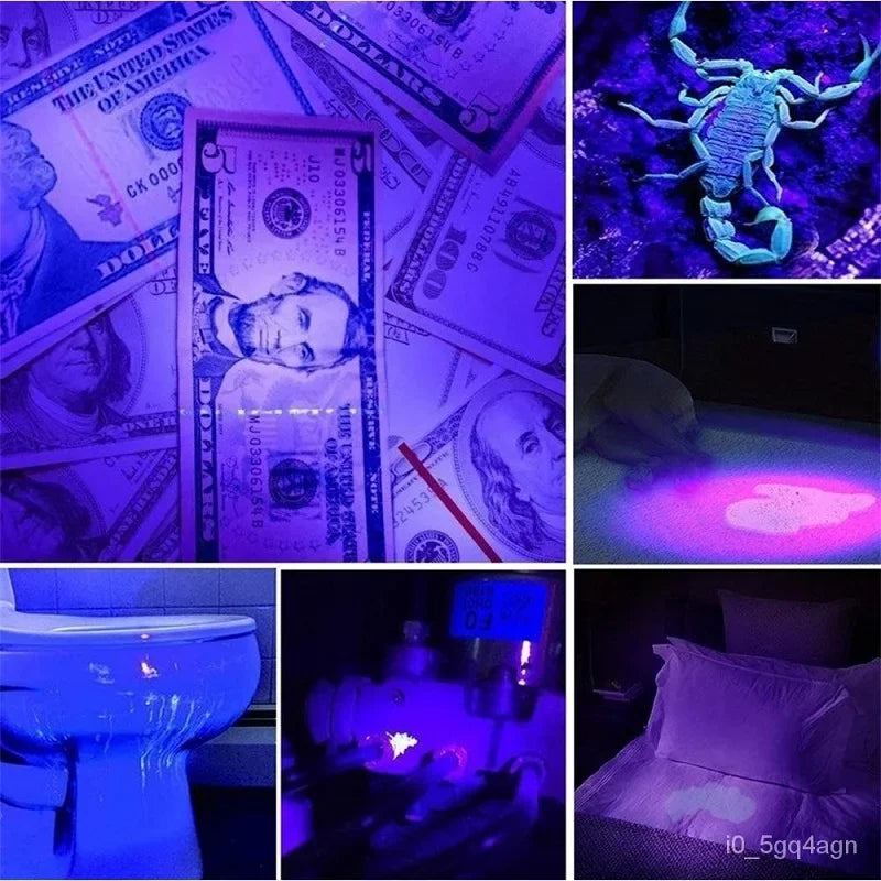 UV Flashlight | Blacklight for Bed Bug Detection & Stain Finder