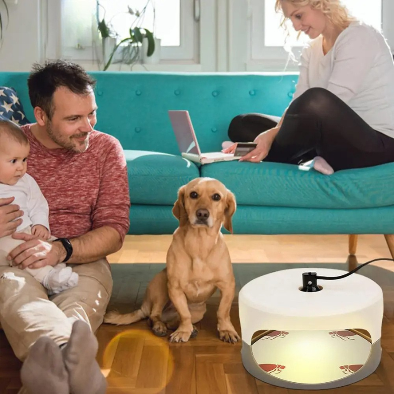 Bed Bug Trap | Indoor Interceptor & Detection Monitor