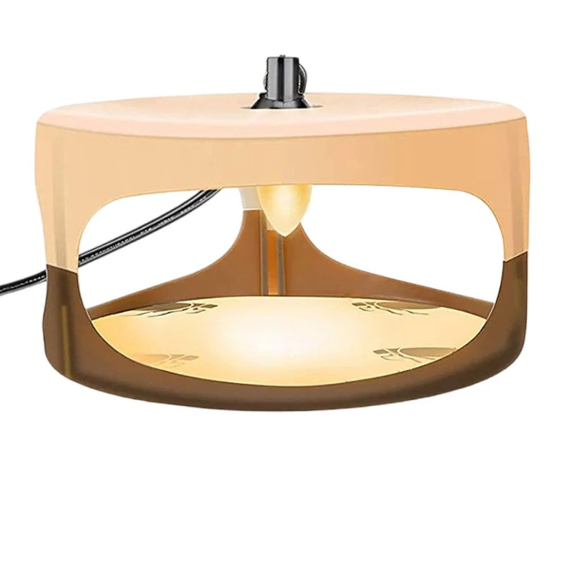 Bed Bug Trap | Indoor Interceptor & Detection Monitor