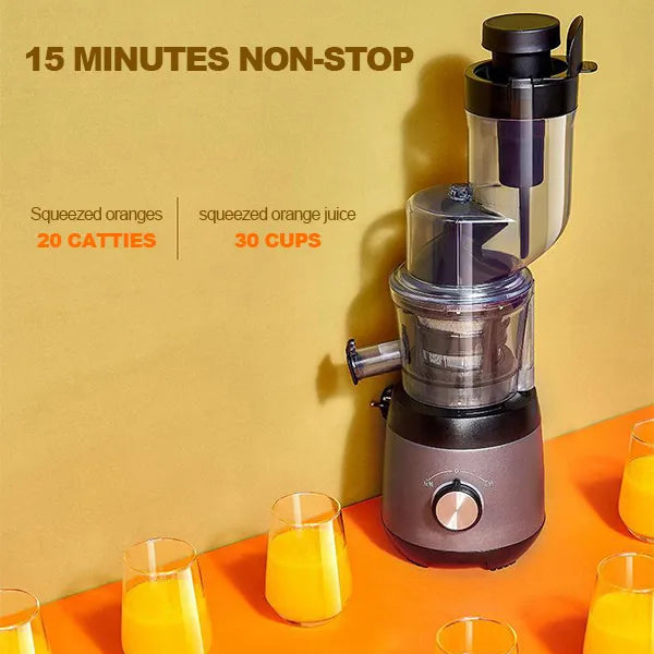 Automatic Juicer | Fruit & Vegetable Centrifugal Juicer Machine