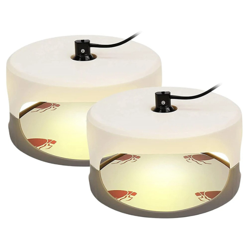 Bed Bug Trap | Indoor Interceptor & Detection Monitor