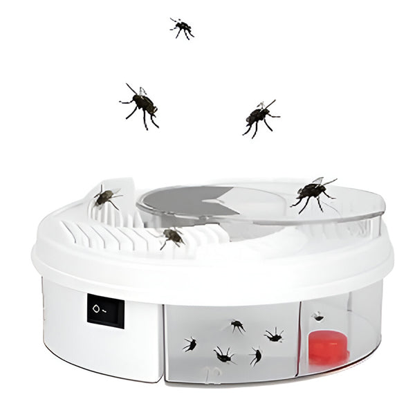 Highly Effective Fly Trap | Sticky Indoor Fruit Fly & Gnat Catcher