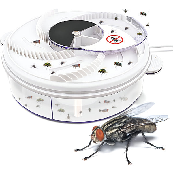 Highly Effective Fly Trap | Sticky Indoor Fruit Fly & Gnat Catcher