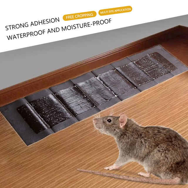 Extra-Large Glue Pads for Mice & Rats | 5-Pack Sticky Rodent Traps