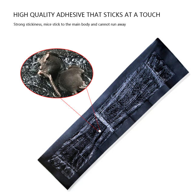 Extra-Large Glue Pads for Mice & Rats | 5-Pack Sticky Rodent Traps
