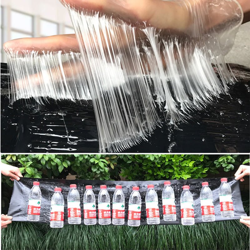 Large Non-Toxic Pest Trap | Effective Mouse & Rodent Catcher