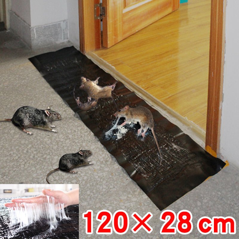 Large Non-Toxic Pest Trap | Effective Mouse & Rodent Catcher
