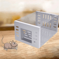 Humane Mouse Trap | Safe Reusable Catch & Release Cage