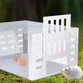 Self-Activating Mouse Trap | Automatic Spring Snap Trap for Mice