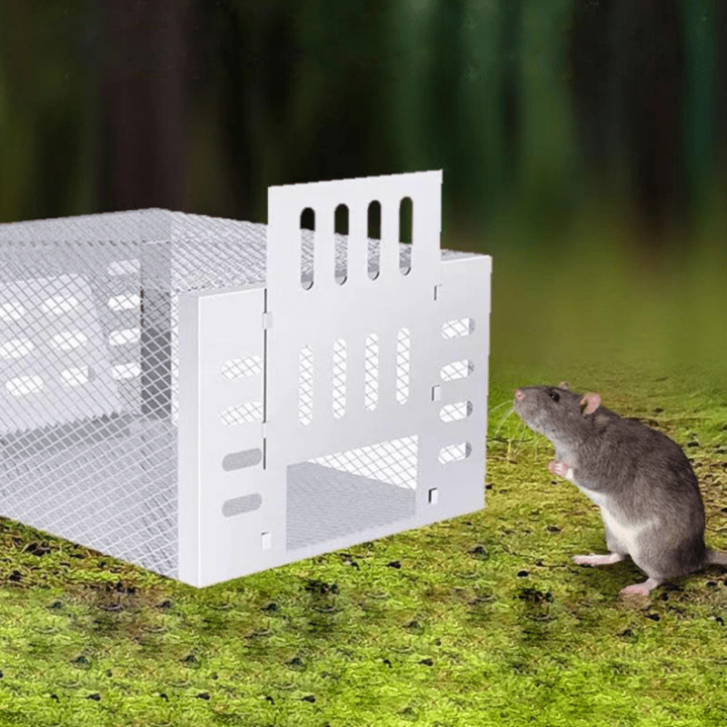 Humane Mouse Trap | Safe Reusable Catch & Release Cage