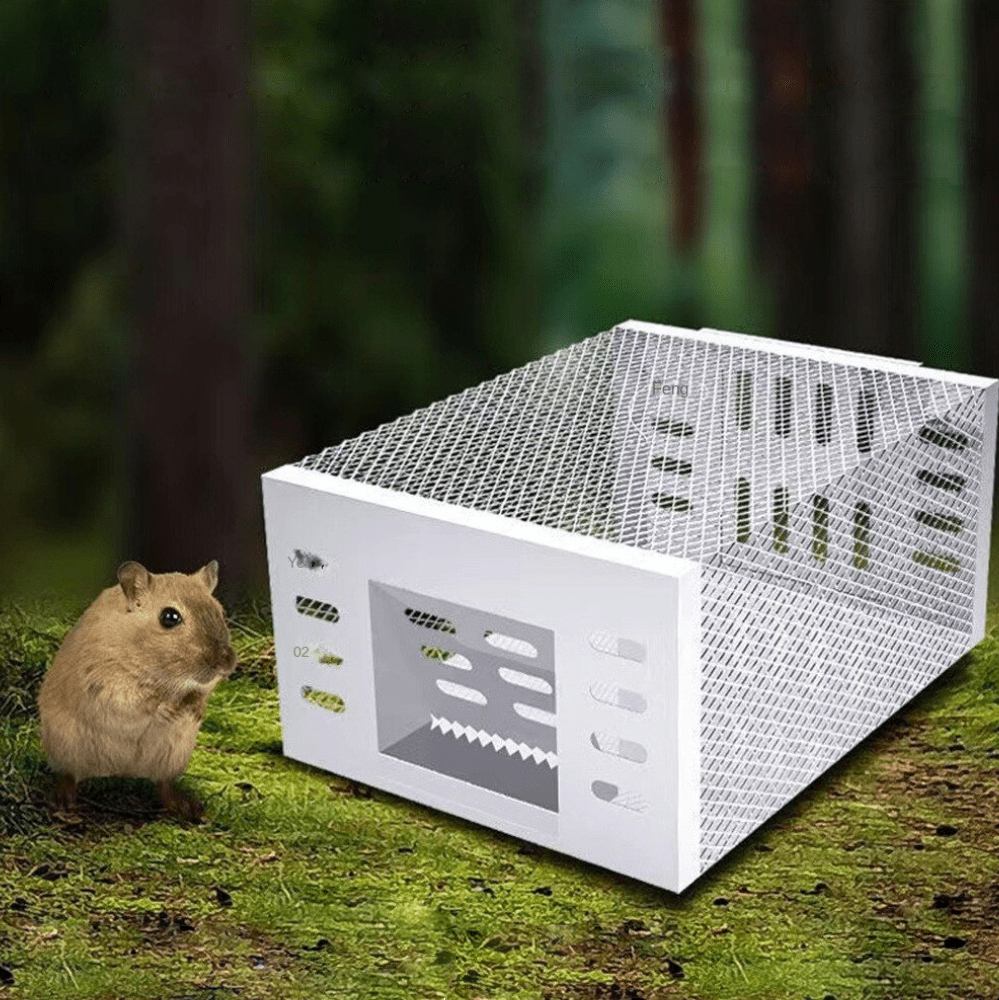 Humane Mouse Trap | Safe Reusable Catch & Release Cage
