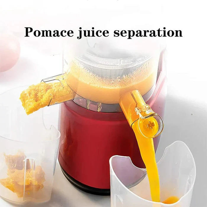 Automatic Juicer | Fruit & Vegetable Centrifugal Juicer Machine
