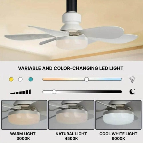Ceiling-Mounted Fan | Modern Flush Mount Ceiling Fan with Light