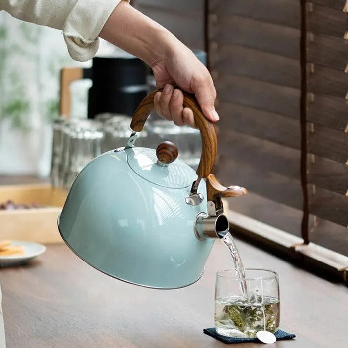 Whistling Kettle | Stovetop Tea Kettle for Hot Drinks