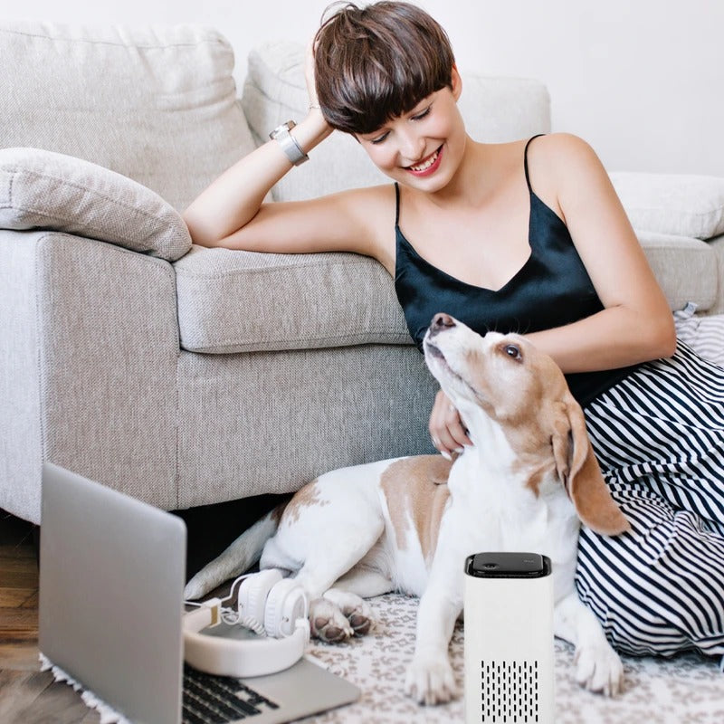 Pet Air Purifier | HEPA Filter Air Cleaner for Pet Dander and Odor