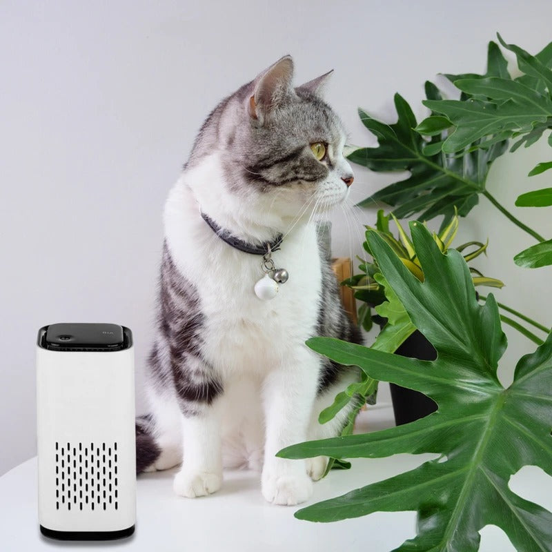Pet Air Purifier | HEPA Filter Air Cleaner for Pet Dander and Odor