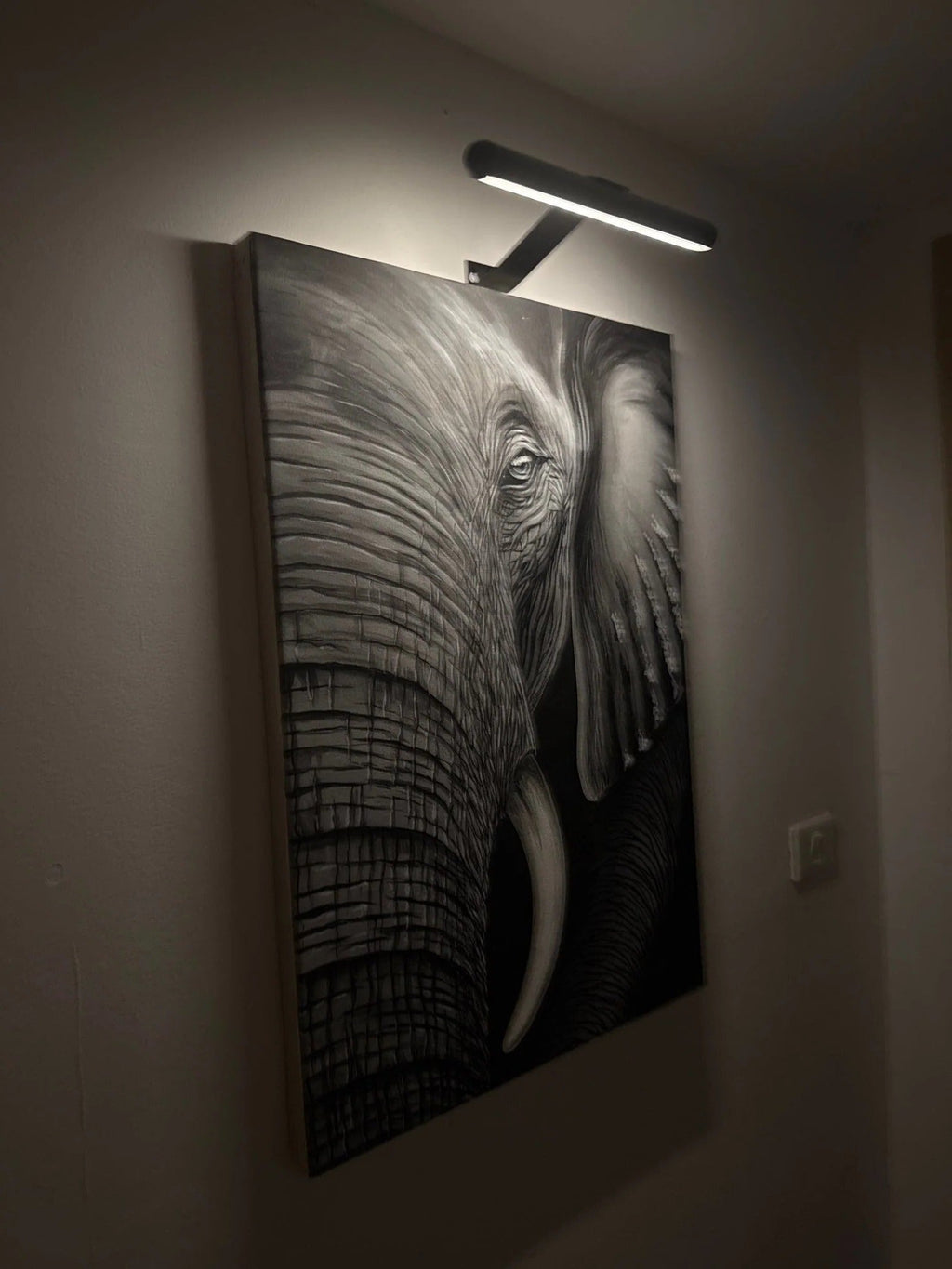 Wireless LED Picture Light | Battery-Powered Art & Frame Illuminator