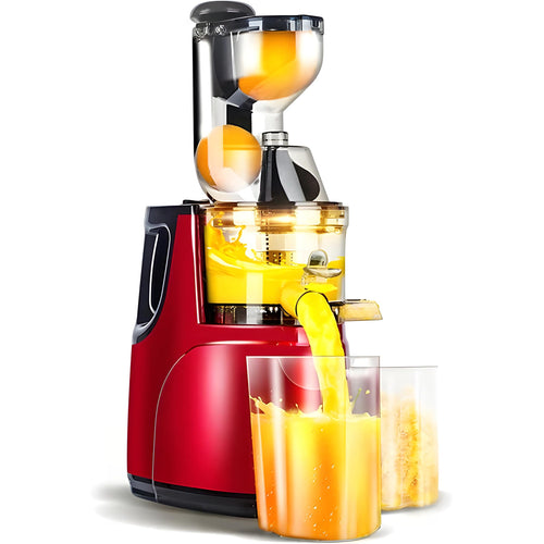 Automatic Juicer | Fruit & Vegetable Centrifugal Juicer Machine