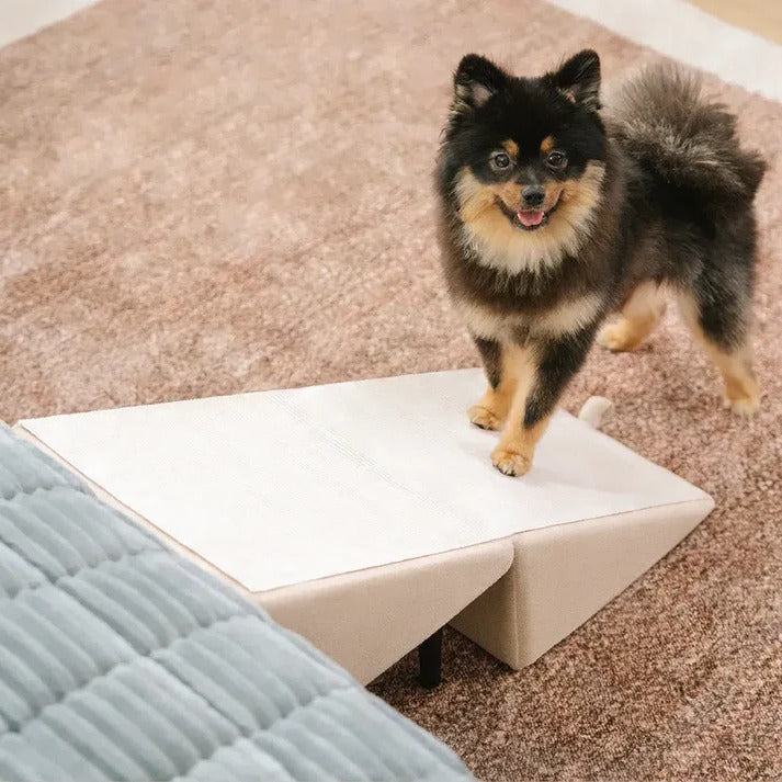 Dog Ramp & Step Stool 2-in-1 | Convertible Pet Ramp for Bed & Couch