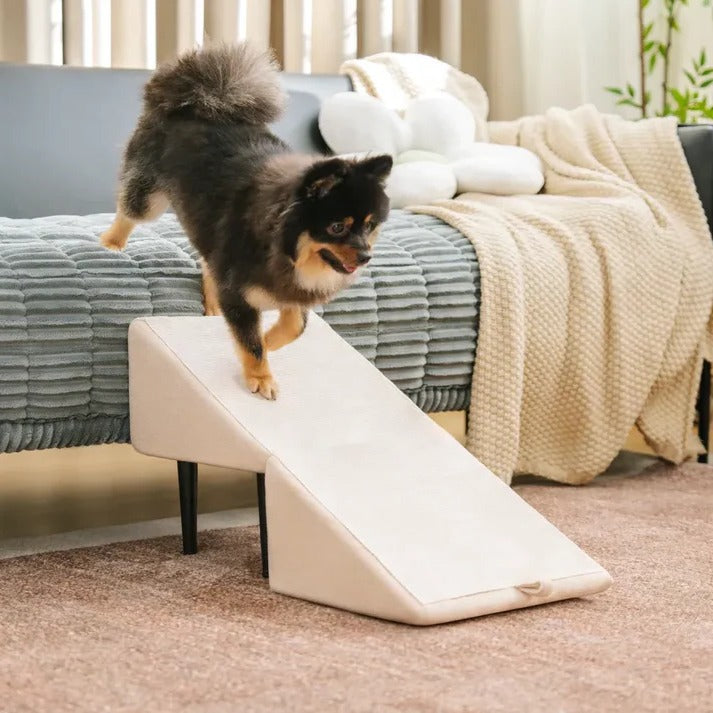 Dog Ramp & Step Stool 2-in-1 | Convertible Pet Ramp for Bed & Couch