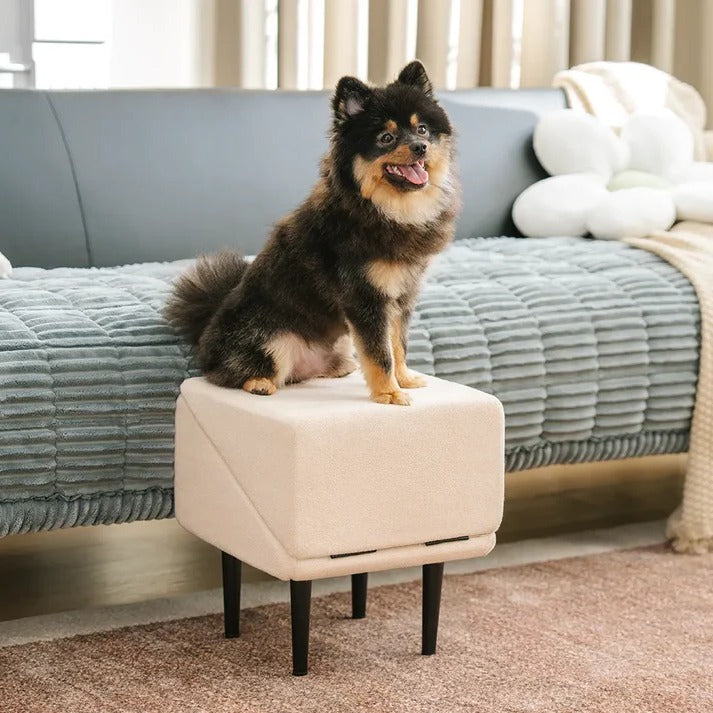 Dog Ramp & Step Stool 2-in-1 | Convertible Pet Ramp for Bed & Couch