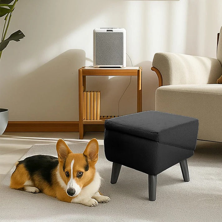 Dog Ramp & Step Stool 2-in-1 | Convertible Pet Ramp for Bed & Couch