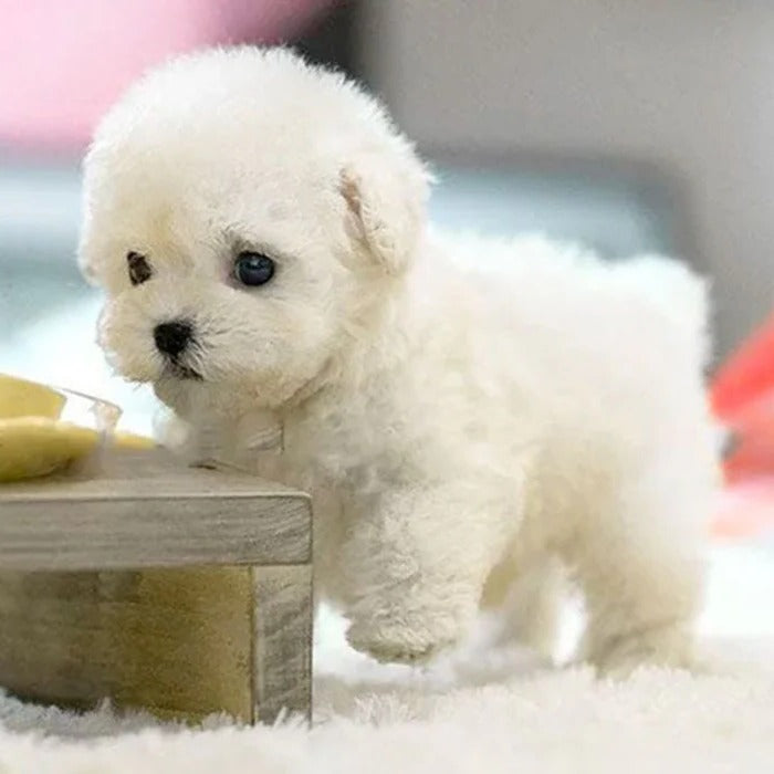 Robot Puppy Interactive Toy | Realistic Sounds & Movements for Kids
