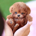 Robot Puppy Interactive Toy | Realistic Sounds & Movements for Kids