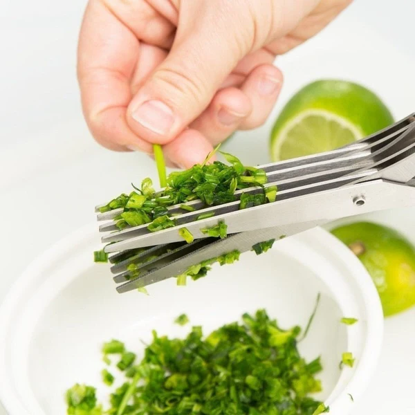 5-Blade Salad Scissors | Kitchen Herb & Salad Cutting Shears